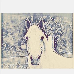 Meet your Posher, Tanatenhorse